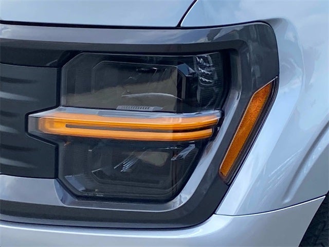 2025 Ford F-150 STX Custom